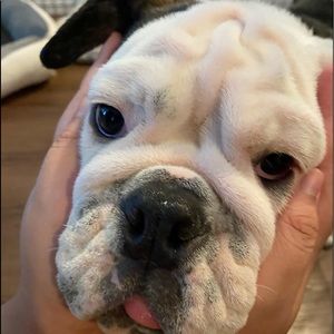 Meet your Posher, Tee